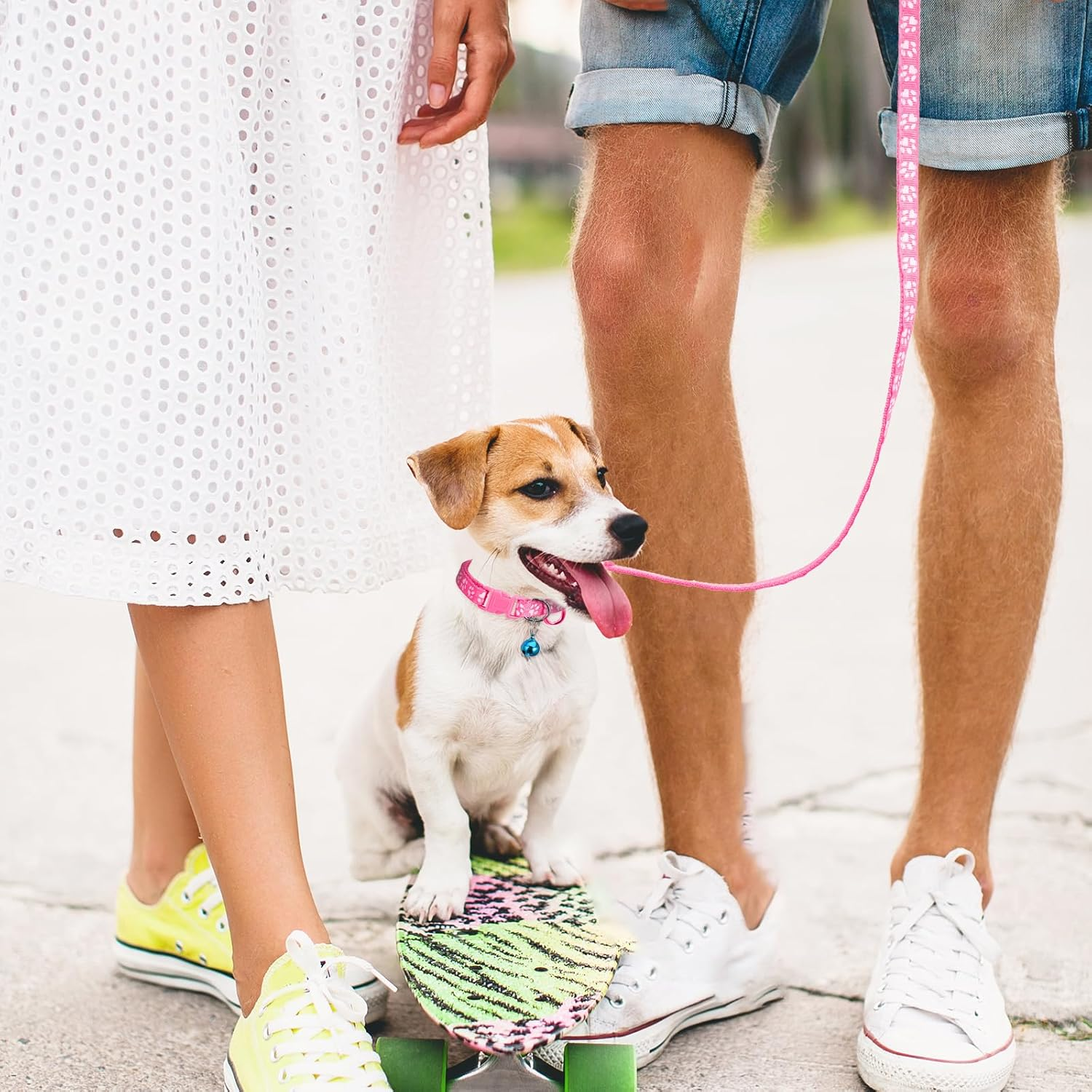 3 Pack Puppy Collar and Leash Dog Collar and Leash for Small Dogs Pet Cat Kitten Collar and Leashes Adjustable Training Rope Quick Release Paw Print Soft Nylon Pet Collar image number 6