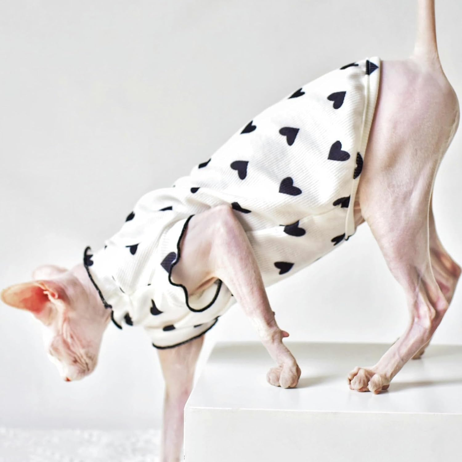 IUOUTG Sphynx Hairless Cats Shirt Soft Cotton Kitten T-Shirts Summer Lightweight Cat Clothes round Collar Cat Pullover Vest with Heart Pattern Cute Pet Pajamas for Cat and Small Dogs image number 3