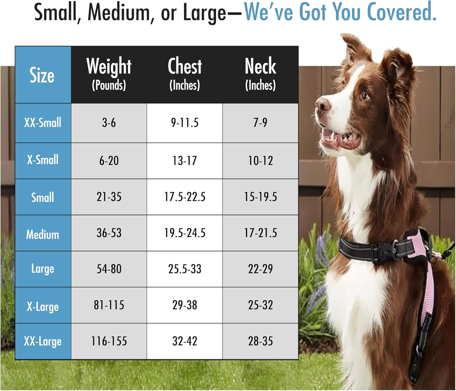 Copatchy No Pull Reflective Adjustable Dog Harness with Handle (Xx-Small, Blue) image number 5