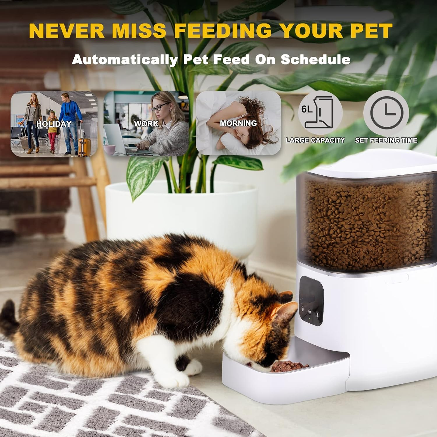6L Automatic Cat Feeder, Smart Pet Feeder for Cats and Dogs, Auto Dry Food Dispenser with No-Clog Design, Voice Recorder, Portion Control and Stainless Steel Bowl (Standard)