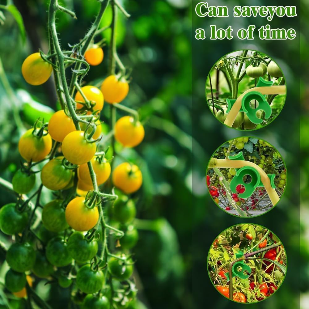 Plant Benders Plant Training Bending Clip Plant Trainer for Low Load,50Pcs Plant Bender Low Pressure Training Plant Bender Low-Stress Training Clip,Plant Bender Plant Training Clip Plant Training Clip image number 3