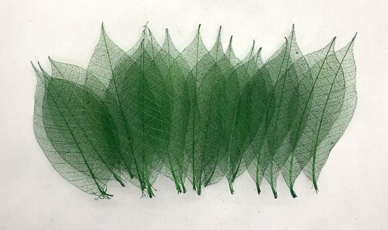 100 Pcs 4-5 Inch Skeleton Leaves Rubber Tree Natural Scrapbooking Craft DIY Card Wedding, Large Leaves (Green Color)
