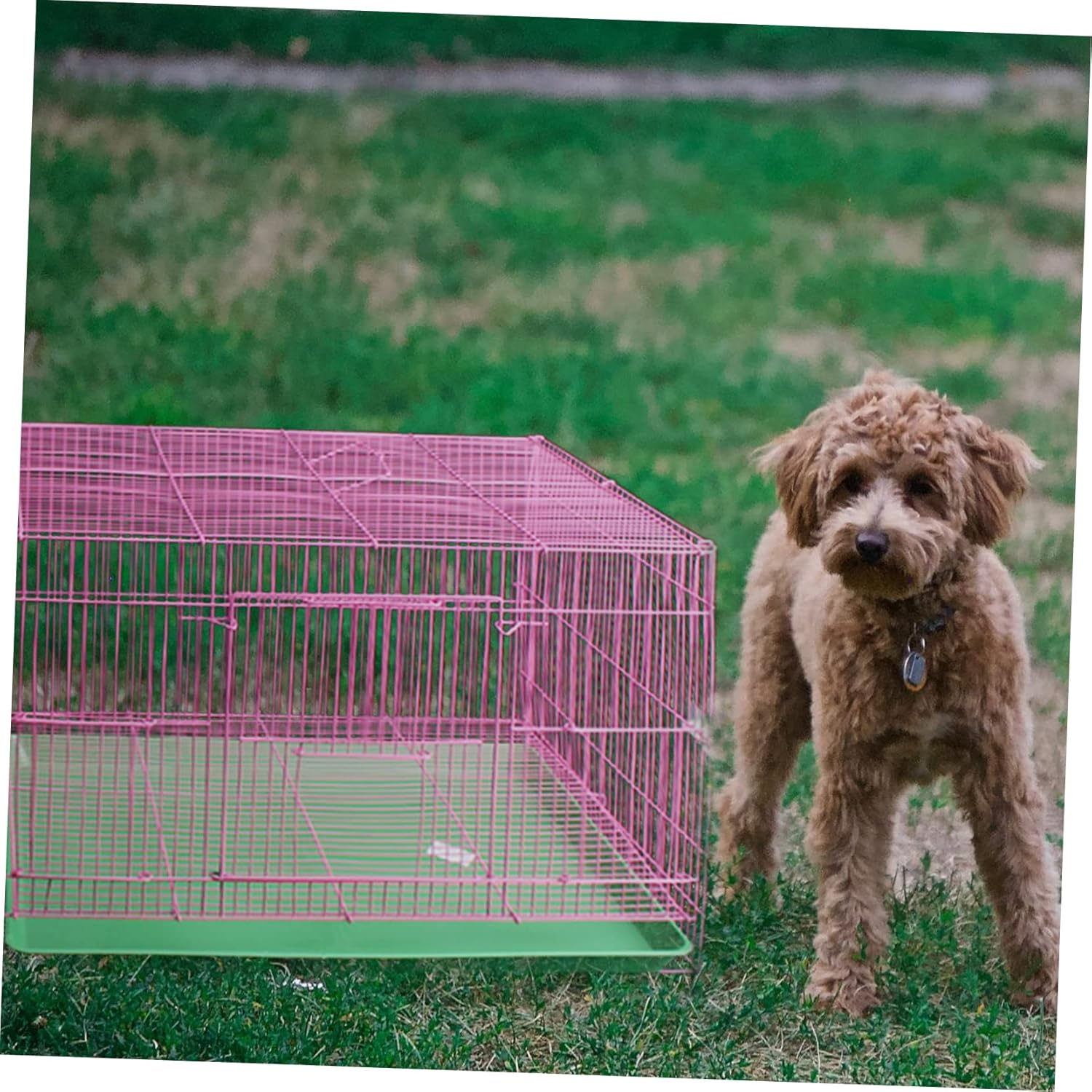 Hohopeti Pet Toilet Tray Plastic for Rabbits and Small Animals, Green Poop Pan for Rabbit Cage and Chick Coop, Household Little Animal Potty Supplies image number 4