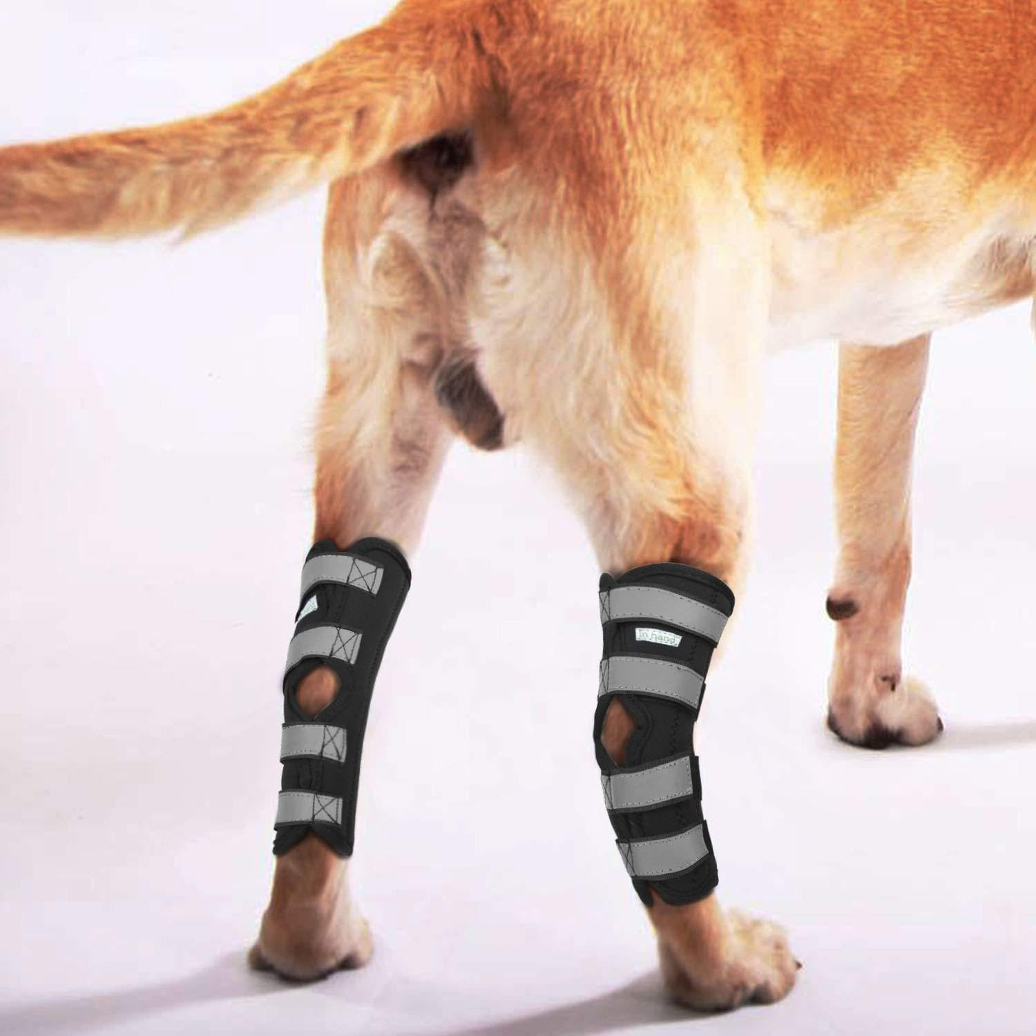 Back Leg Braces for Dogs with Dual Metal Strips and Reflective Straps. This Leg Support Is Designed for Issues like Luxating Patella and Serves as an ACL Support for Hind Legs. (Black, XS) image number 2