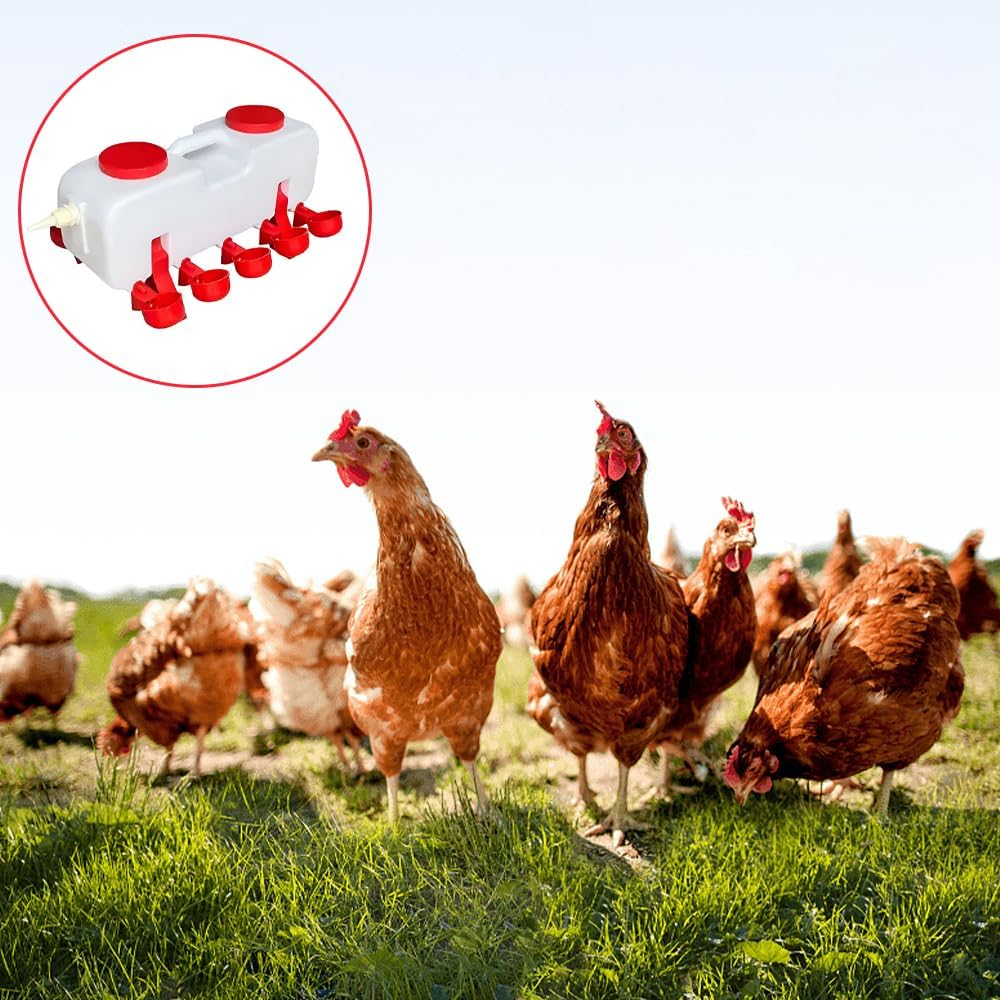 10L Automatic Chicken Drinker,Pet Waterer,Automatic Water Bowls,Standing Ducks Drinker,For Chicken,Duck,Goose,Easy Clean Plastic Feeding and Watering Feeder image number 1