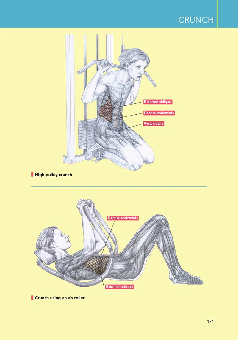 Delavier'S Women'S Strength Training Anatomy Workouts