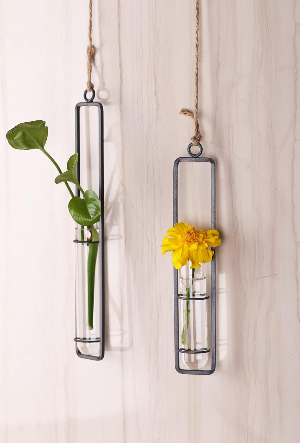 XMGZQ 6Pcs Plant Propagation Stations Wall Hanging,Clear Glass Propagation Tubes,Hanging Planters for Indoor Plants、Kitchen Window、Bathroom,Black Metal Test Tube Vases for Home Decoration (S,M,L) - Black image number 2