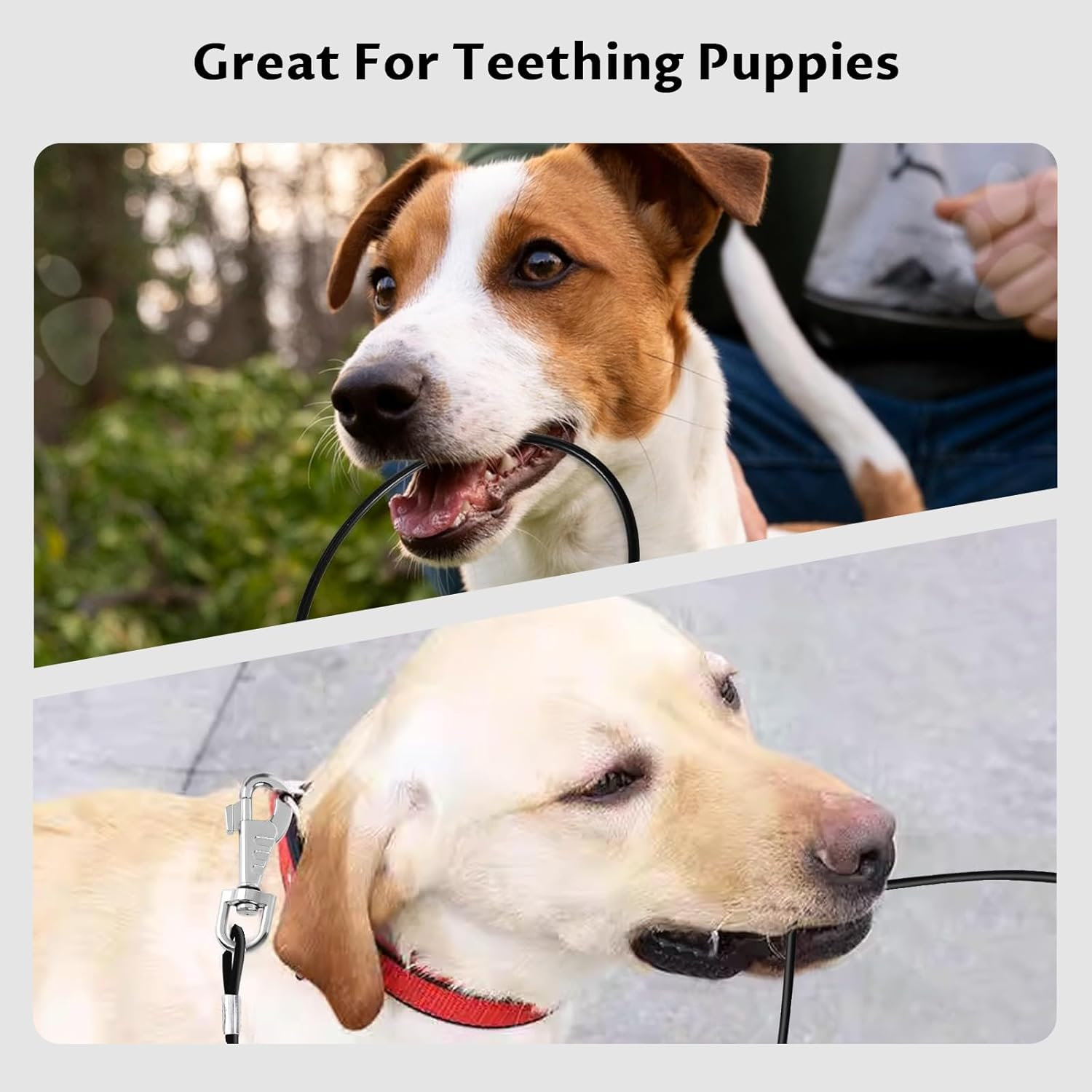 2 Pack Chew Proof Dog Leash, 66Cm/26 Metal Cable Lead, No Tangle Multiple Dog Leashes for Small Medium Large Dog, Heavy Duty Leash Extender for Collars & Harnesses