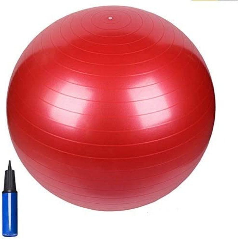 HCE Gym Ball, Balancing Yoga Ball Chair Stability Commercial Swiss Pilates Birthing Ball, Anti-Burst Heavy-Duty Extra Thick Exercise Ball - Slip-Resistant 300Lbs Home & Gym Workout - Free Pump