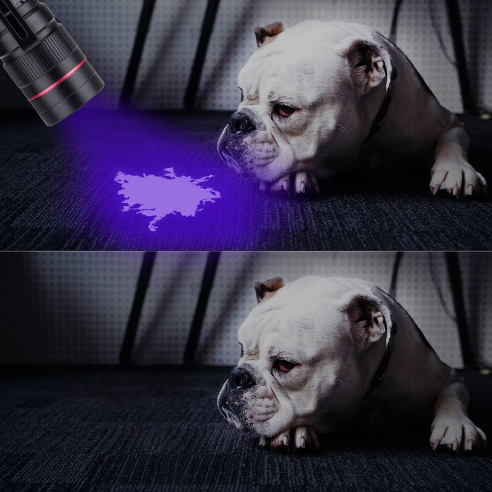 Vagocom LED Blacklight Ultraviolet Flashlight, 3 Modes Zoomable Black Light 395Nm UV Flash Light Detector for Dog Cat Pet Urine,Dry Stains,Work with Pet Odor Eliminator(1 Pack,Black,Battery Included) image number 5