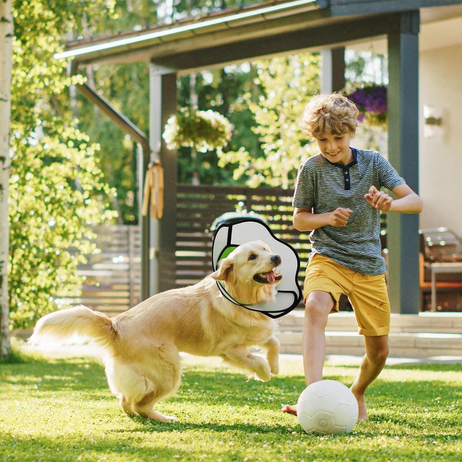 Soft Dog Cone, Adjustable Dog Cone Collar, Elizabethan Collar for Dogs after Surgery, Breathable Dog Recovery Cone to Stop Licking, Lightweight E-Collar for Dogs image number 6