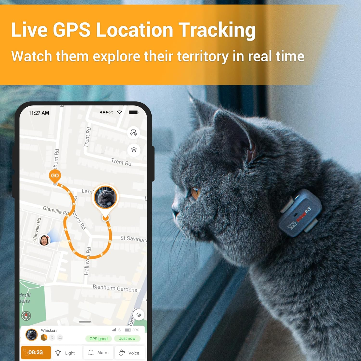 Pawfit Lite for Cats 4G GPS Tracker | Real Time Tracking | Activity Monitoring |Location History | Unlimited Range | Safety Collar Included | Onyx Black image number 3