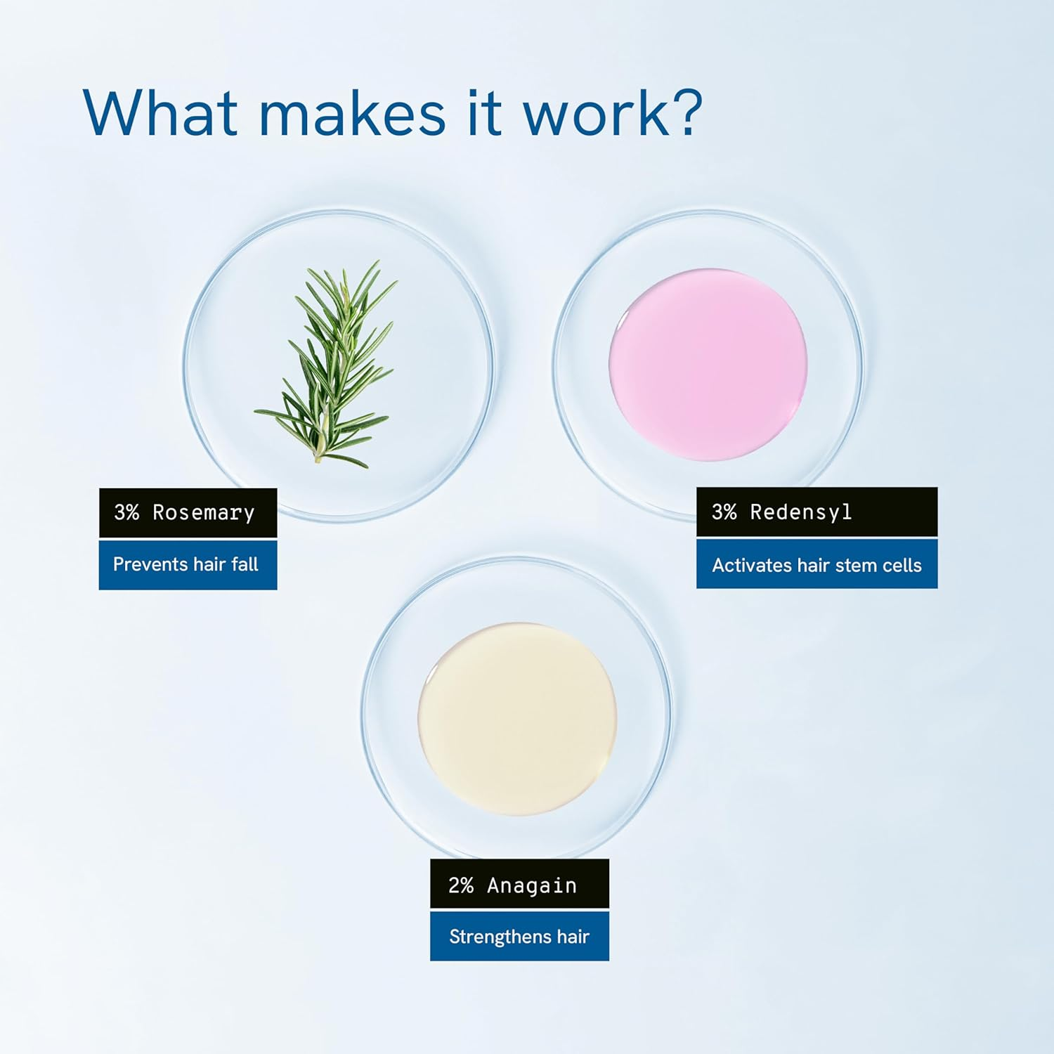 Be Bodywise 3% Rosemary Hair Serum (Roll On) 50Ml | 3% Redensyl, 2% Aminexil & 2% Anagain | Thicker & Stronger Hair Growth | Prevents Hair Fall & Stimulates Hair Follicles | Pack of 2 image number 6