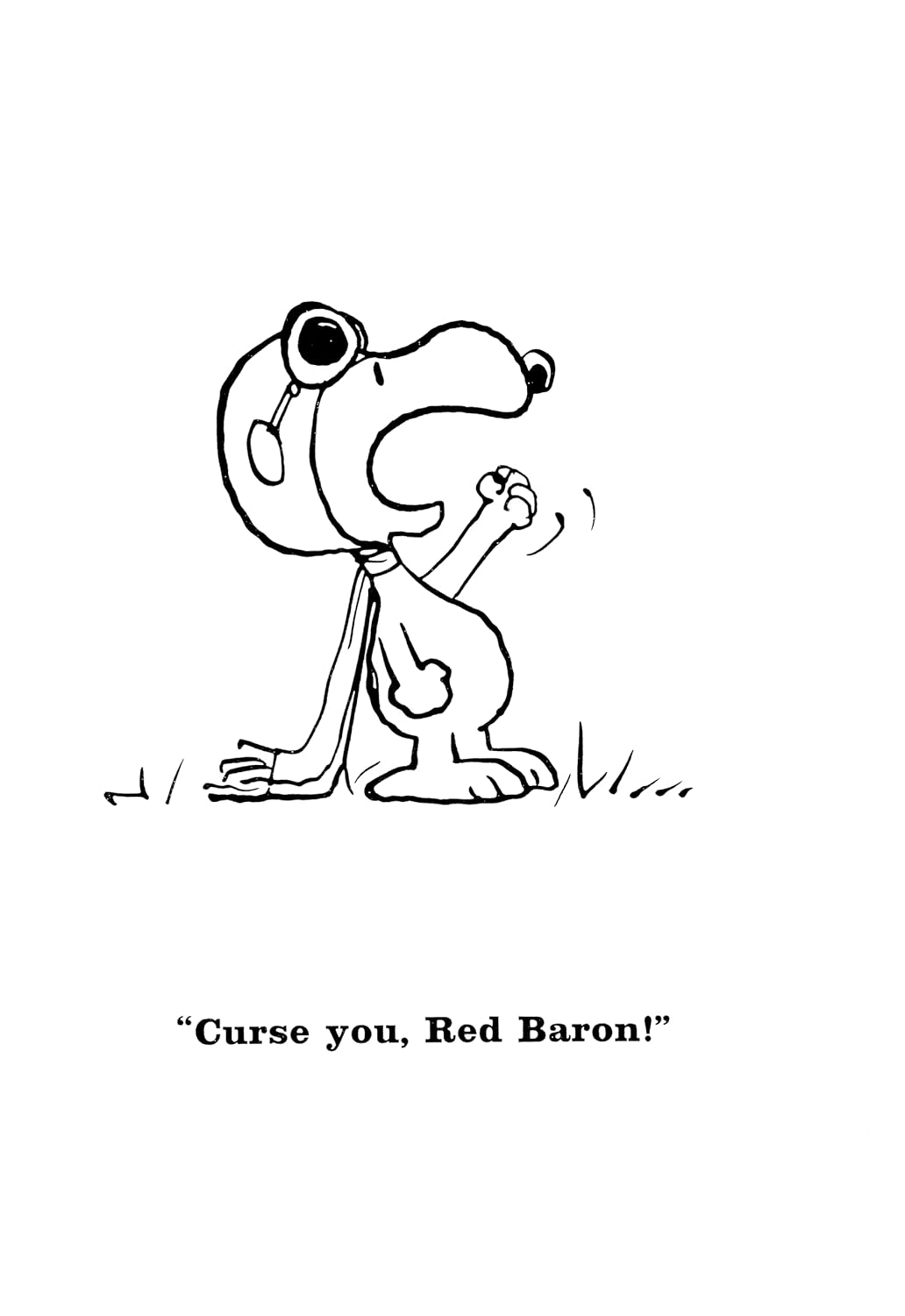 Peanuts: Snoopy and the Red Baron image number 6