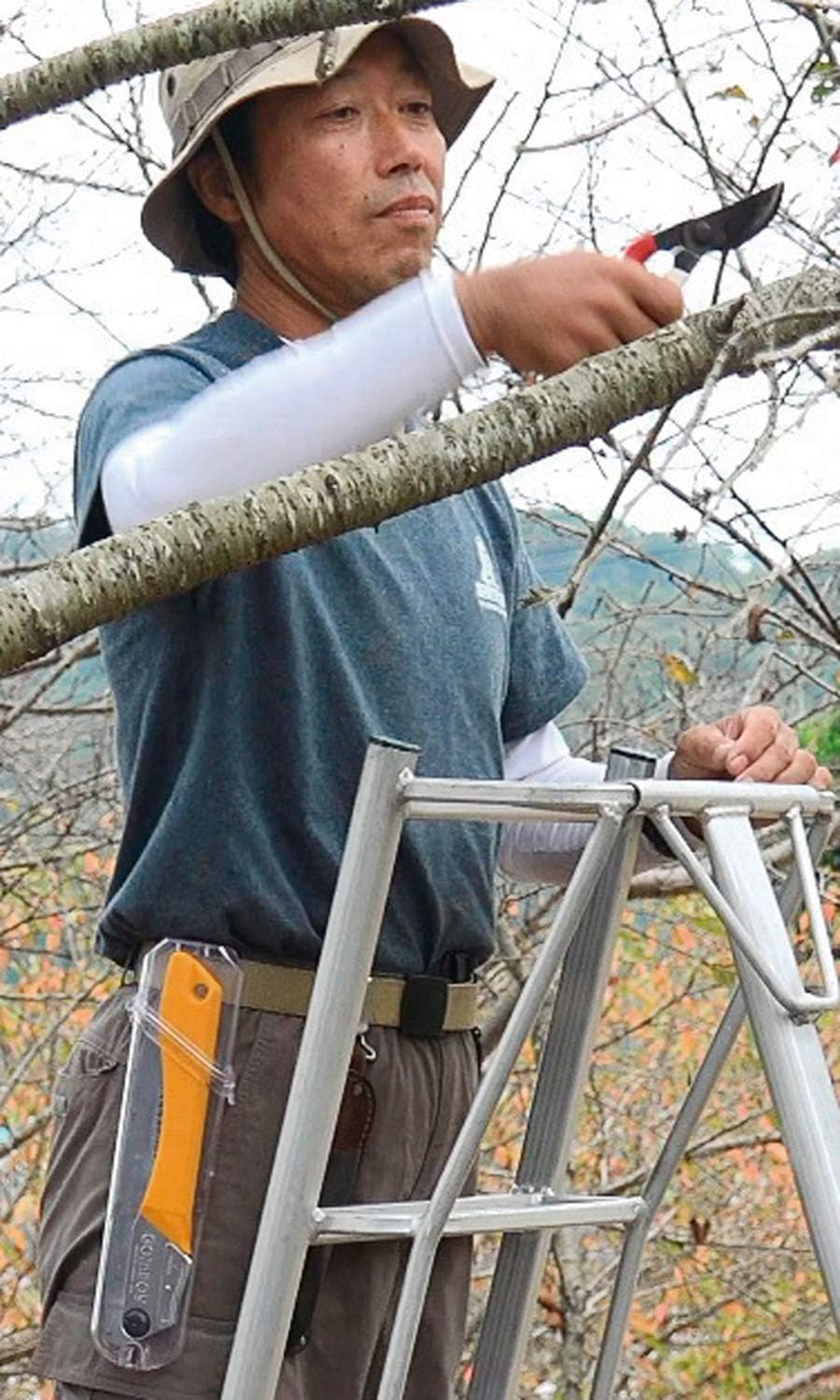 Silky Pruning for Kabuso Rubber Boy Curve Rough First 210Mm Body 463-21 Folding Saw