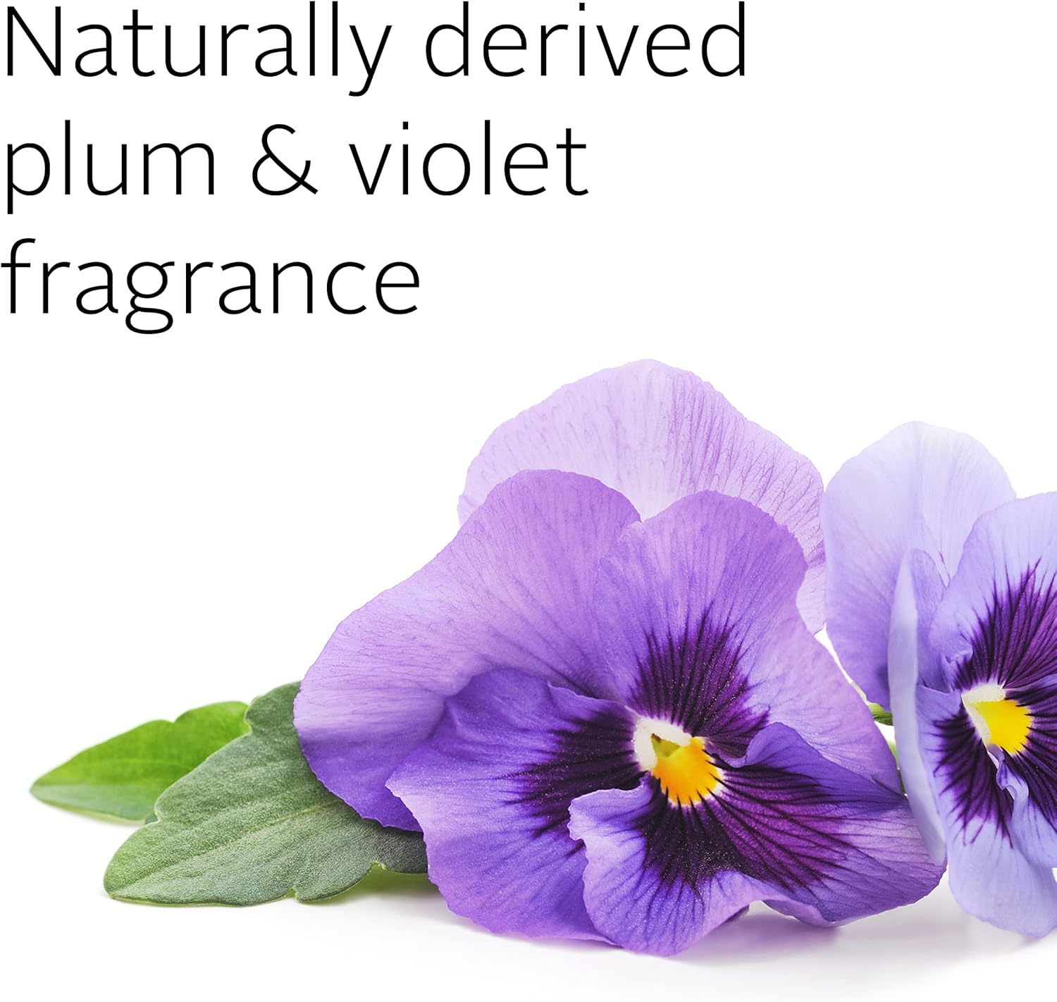 Ecostore Hydrating Conditioner 350Ml, Gently Detangles, Smooths and Controls Frizz, Naturally-Derived Plum & Violet Fragrance, for Soft, Shiny, Healthy Looking Hair, Plant and Mineral-Based. image number 2