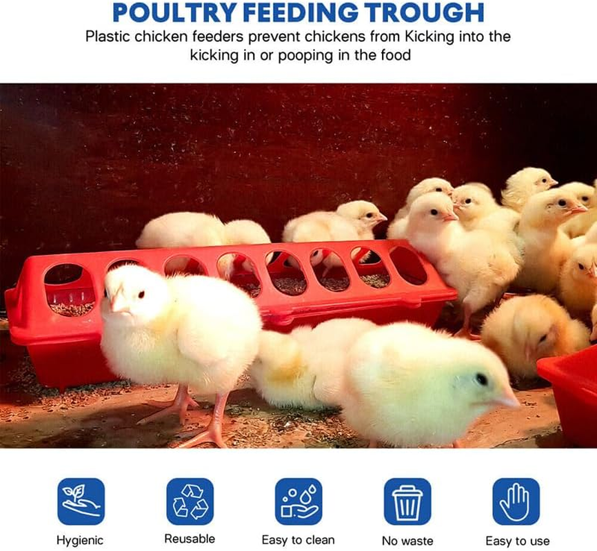 Multicolor 30Cm Bird Feeder & Drinker: Versatile Storage Trough for Chick, Pigeons, and Wild Birds - Durable, Easy-Fill Plastic Dispenser with Hinge Opening, Ideal for Stable and Aviary Environments - Green image number 4