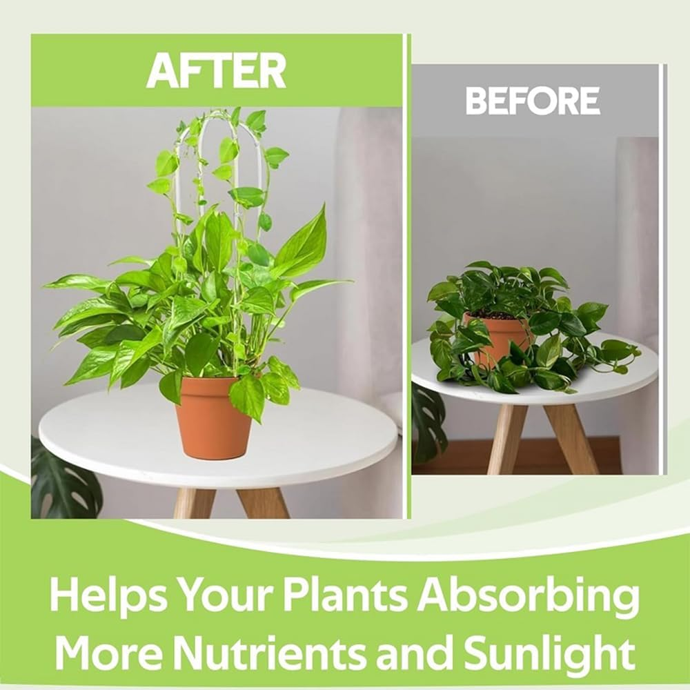 12-Pack Clear Acrylic Plant Trellis for Potted Plants,Indoor/Outdoor Climbing Support Stakes,Ideal for Hoya Pothos Ivy Monstera Philodendron image number 5