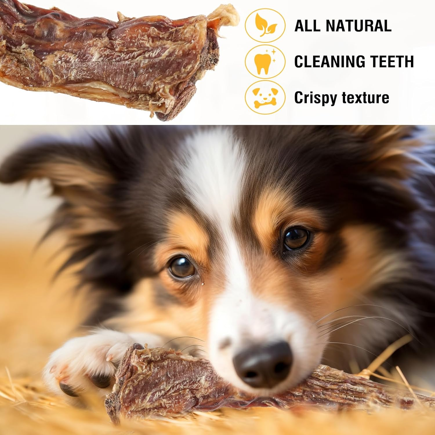 Natural Beef Tail Bones for Dogs - Long-Lasting Dental Chew, Rawhide-Free & Digestible Dog Treats,Single Ingredient Grass-Fed Beef（2 PCS） image number 5
