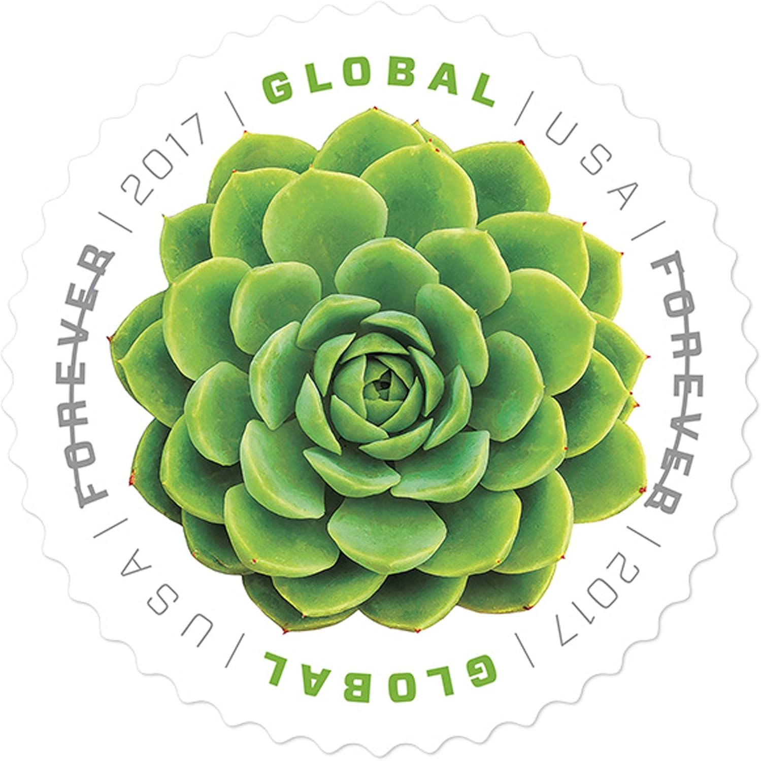 Green Succulent Sheet of 10 Global USPS First Class International Forever Postage Stamps (2) image number 1