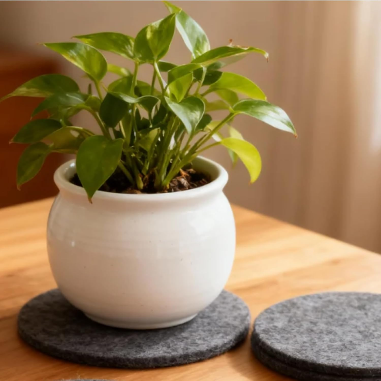 Abeillo 9PCS round Felt Plant Mat Reversible Fabric Coaster Mat Absorbent Waterproof Plant Pot Saucers for Gardening, Indoor and Outdoor Pots, DIY Craft Supplies(8&rdquo;, 10&rdquo;, 12&rdquo;Grey) image number 2