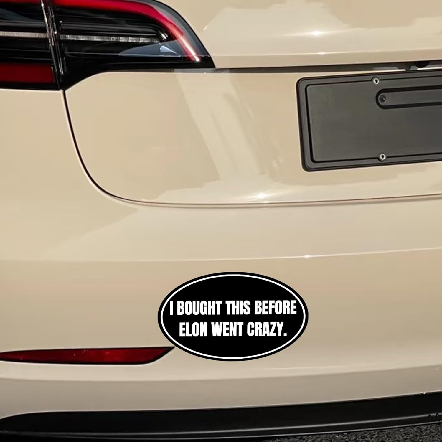 2Pack anti Elon Car Decal Tesla Bumper Sticker I Bought This before We Knew Elon Was Crazy! Elon Sucks Tesla Model X Y 3 S Vinyl (Round Elon Went Carzy) image number 1