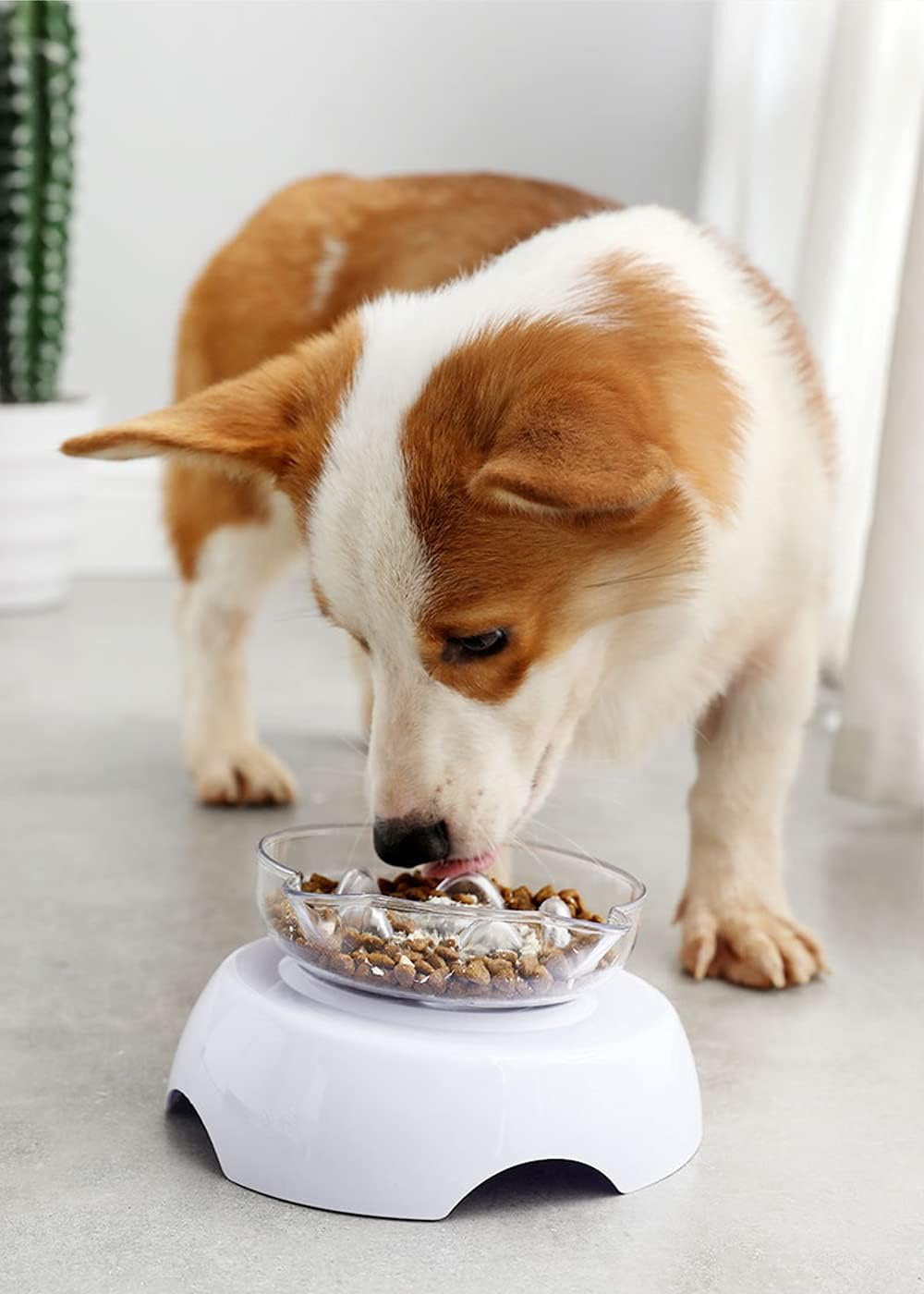 3 in 1 Pet Raised Slow Feeder, Cats Dogs Food Bowls with Stand, 15&deg; Tilted Pet Bowls for Cats and Small Size Dogs, Backflow Prevention, Easy to Clean/59 image number 1