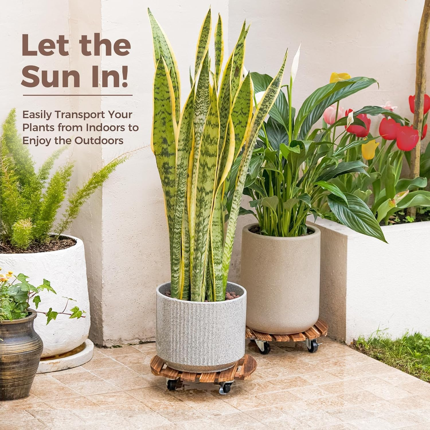 2 Pack Plant Caddy Wooden 40Cm/16Inch, Large Plant Stand with Wheels Heavy Duty Rolling Plant Stand round Plant Dolly Rollers Cart with Metal Lockable Casters for Outdoor/Indoor Large Plant Pot/Flower Pot/Patio image number 5