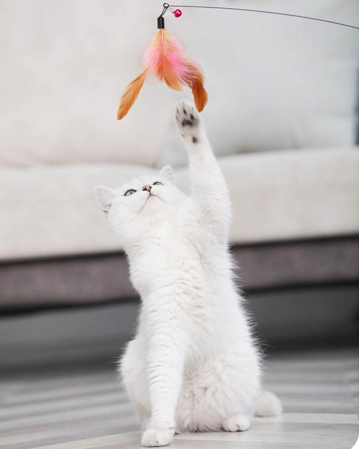 AORHOFJ Pack of 8 Replacement Heads for Cat Teaser Toys, Replacement Heads for Cat Teaser Sticks, Interactive Cat Toy Feathers, Cat Hair Toy, Replacement Feathers with Bells