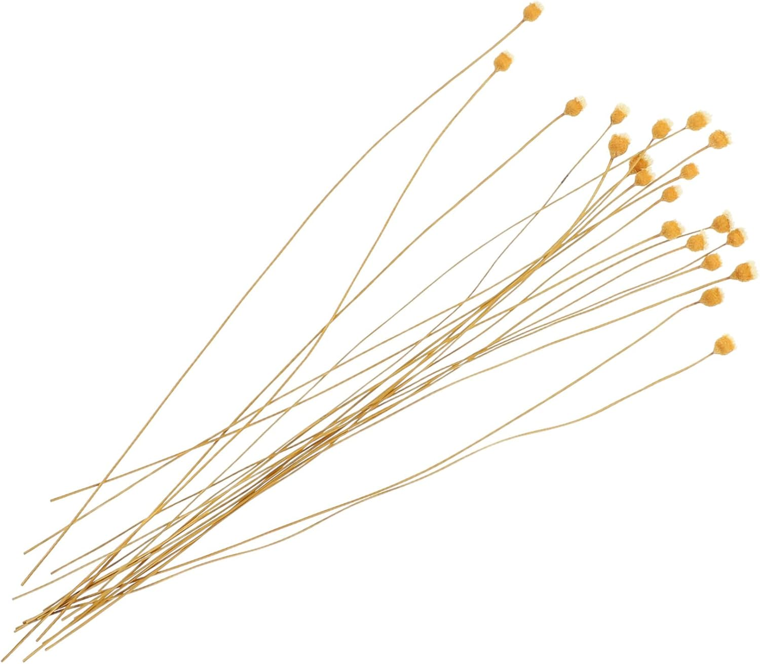 COHEALI 60Pcs Flower Reed Diffuser Stick Scented Sticks for Spa Aroma Diffusers Essential Oil Fragrance