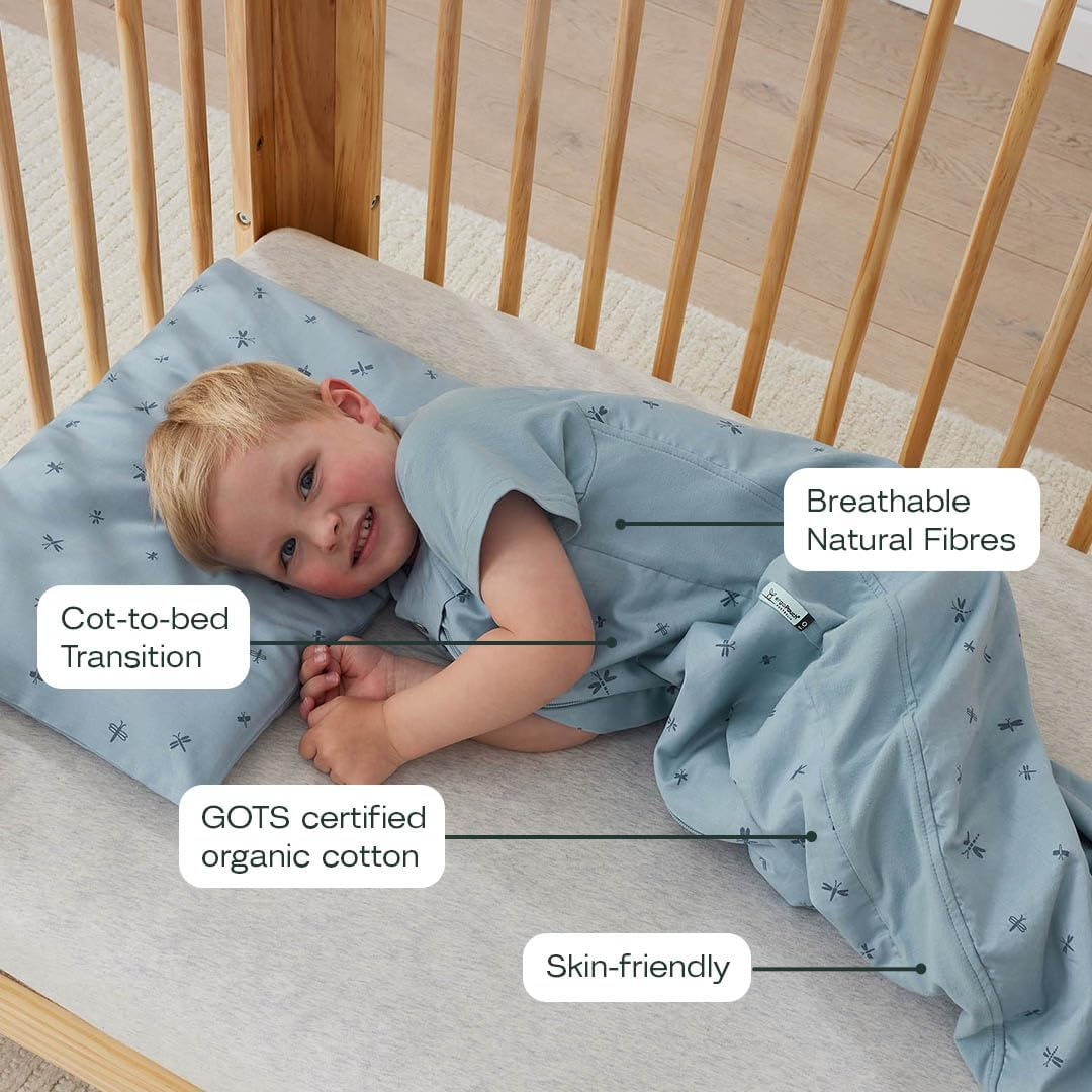 Ergopouch 0.2 Tog Long Sleeve Layer for 0-3 Months Baby, Dragonflies