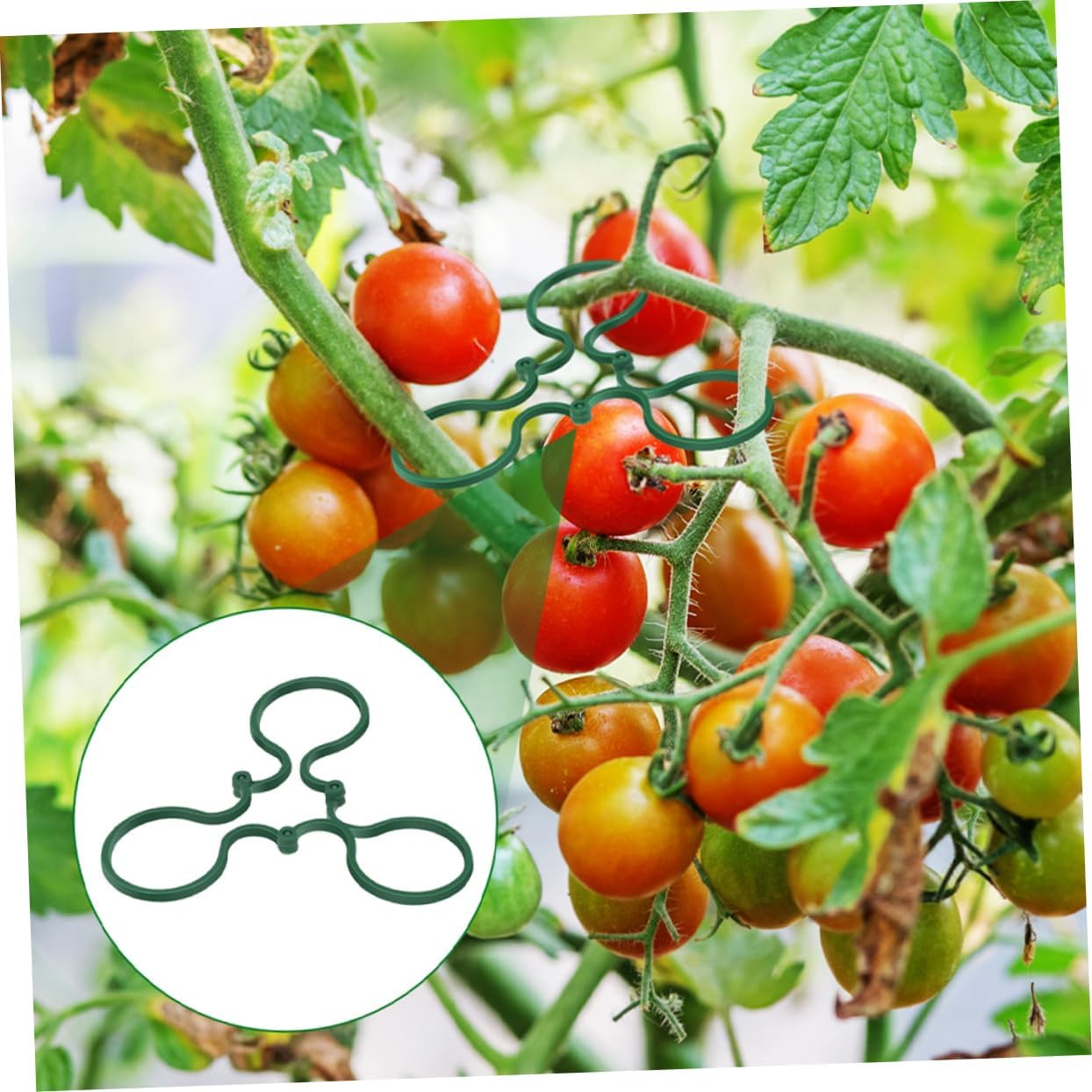 BCOATH 150Pcs Gardening Plant Clip Vine Support Bonsai Plastic Clips for Indoor Plants Outdoor Garden Secure Stem Holder image number 5