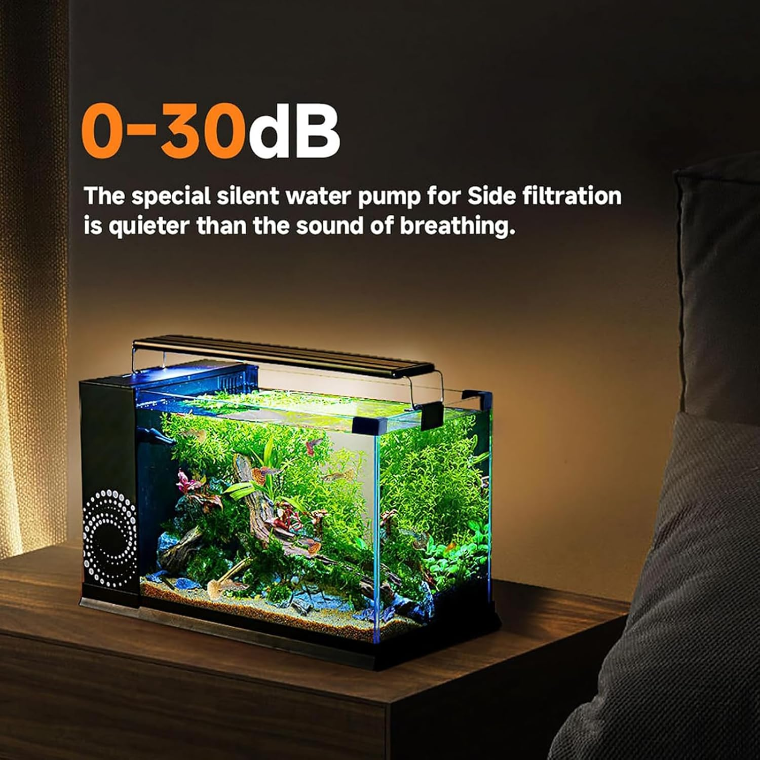 LIODUX Fish Tank Kit, Glass Aquarium Starter Kits with Partitioned Filtration, Fish Bowls Starter Kits, Beginner-Friendly Betta Aquarium, Room Desktop Decor (60 X 23 X 30CM)