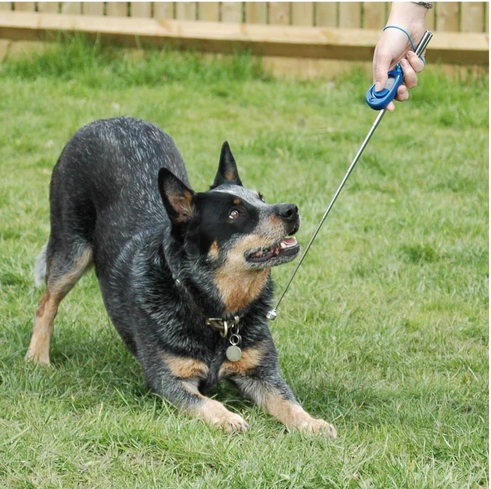 The Company of Animals 25760A Clix Multi-Clicker Training Tool for Dogs, Blue, Small image number 3