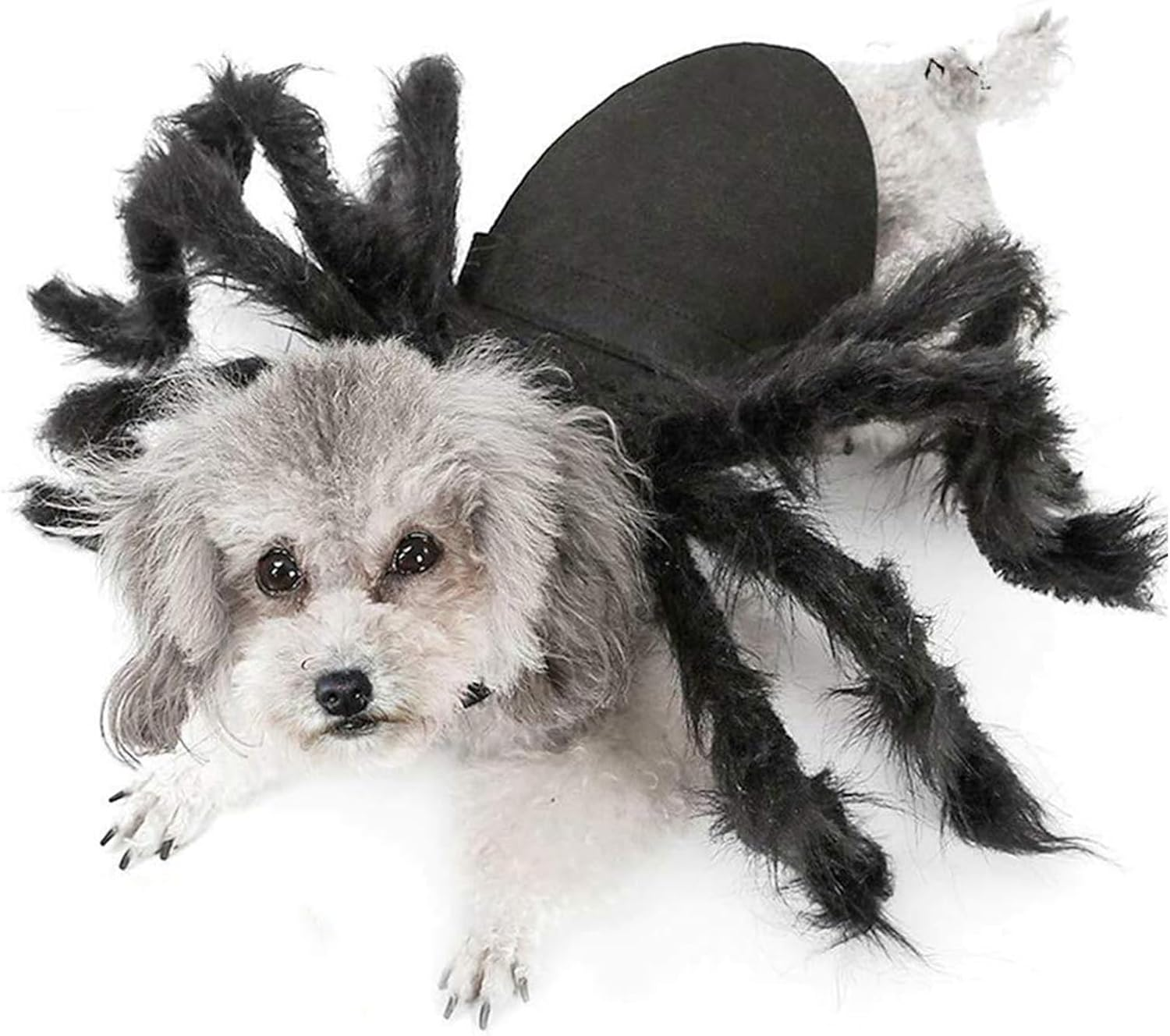 Halloween Spider Costume, Pet Decorations, Decor Party Supply, Cosplay Costumes with Adjustable Velcro, Cosplay Costumes for Small-Medium Dogs & Cat, Puppy Dress up Accessories Black image number 2