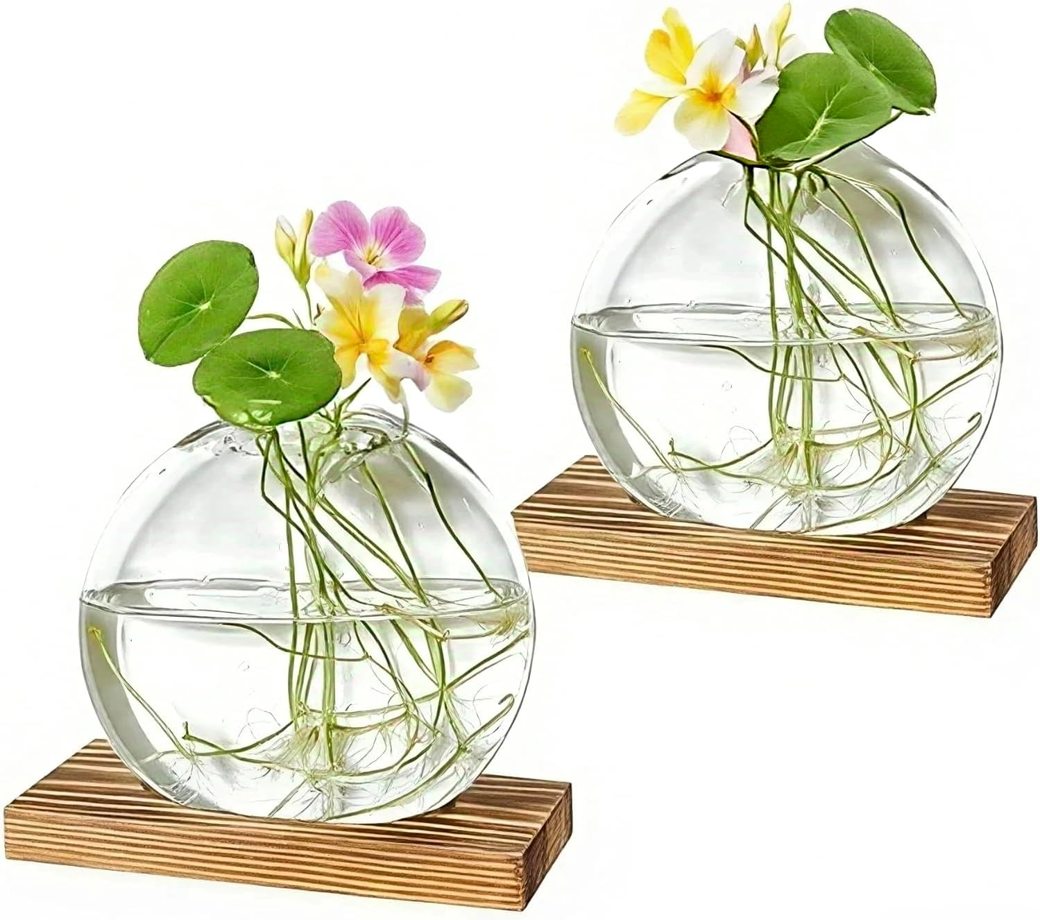 Desktop round Glass Planter Propagation Stations - Propagation Vases Plant Terrarium Propagation Jars with Wooden Stand for Propagation Hydroponic Water Plants Home Office Decor,2 Pack,Brown