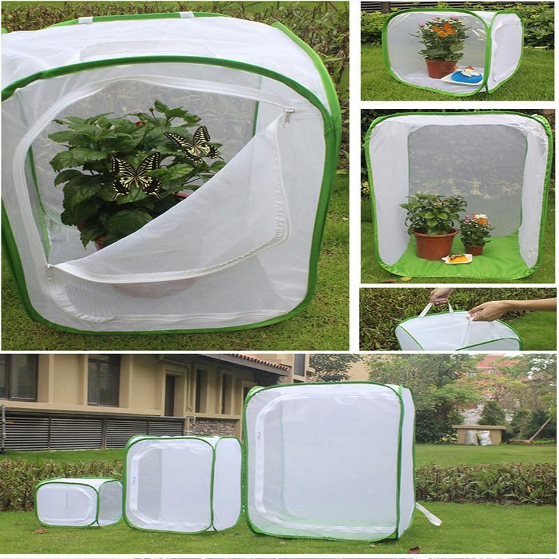Insect and Butterfly Habitat Cage &ndash; Foldable Mesh Butterfly Cage with Clear View 6 Panels, Durable Breeding Habitat for Kids Garden Science Education, 40X40X60Cm (40X40X60Cm) image number 5