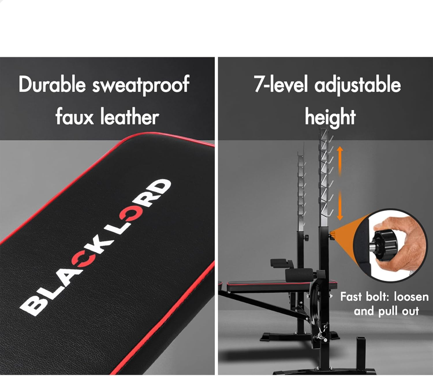 BLACK LORD Weight Bench 14-In-1 Home Gym Fitness Abdominal Strength Training Muti-Station Adjustable Bench Military Press Workouts Equipment, Black, 360 Kg Capacity image number 4