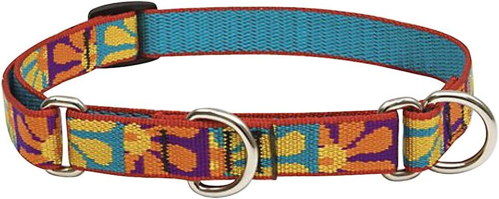 Lupinepet Originals 3/4 Crazy Daisy 14-20 Martingale Collar for Medium and Larger Dogs