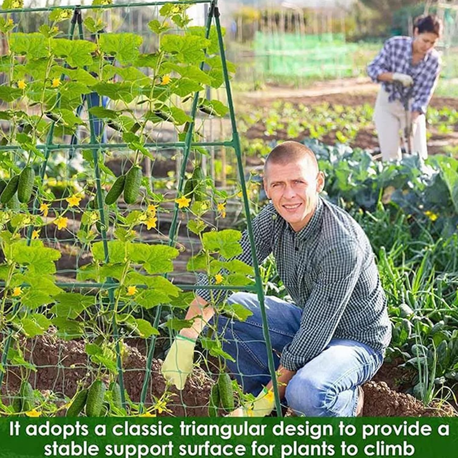 Trellis for Cucumbers - Tomato Trellis | Metal Expandable Gardening Growing Supplies Accessories Support for Grape Pea Bean Tomato Cucumber image number 6