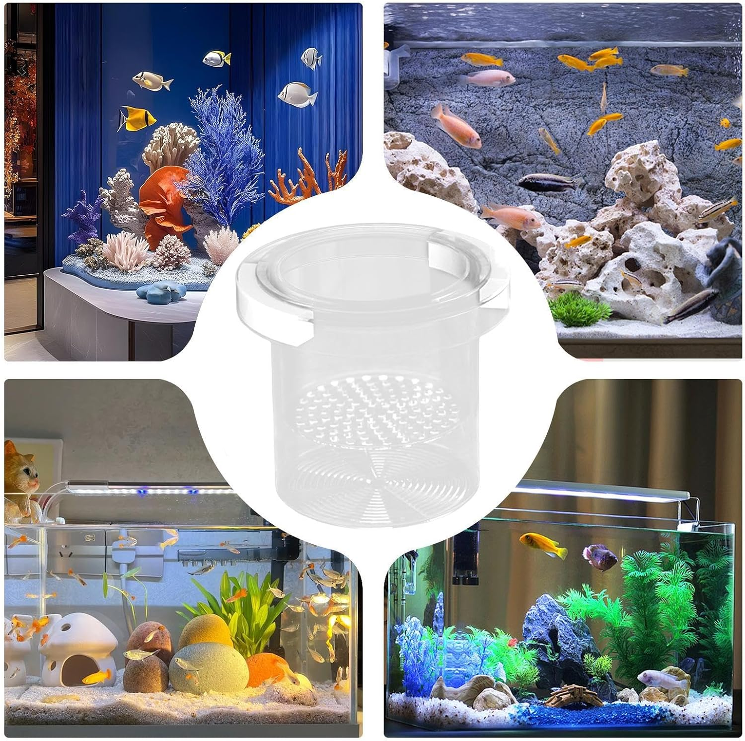 Isolation Box for Fish Tank | Mesh Breeding Box for Fish Tank,Floating Divider Container Hatchery Incubator for Shrimp Guppy Egg Angelfish Fry Acclimation - Circular image number 6
