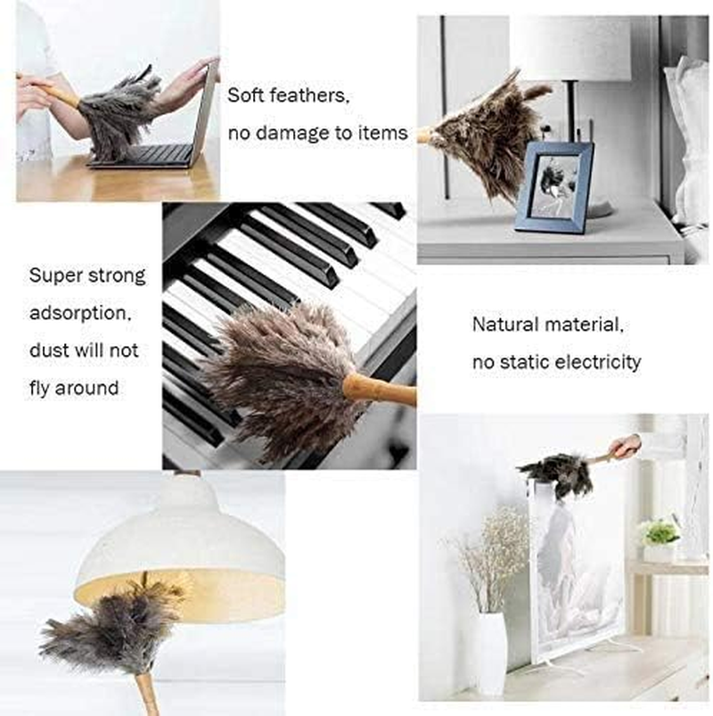 Feather Duster for Home, Feather Duster Fluffy Natural Genuine Ostrich Feathers and Eco-Friendly Reusable Wooden Long Handle Large Ostrich Feather Duster Cleaning for Housewife Brown Length 24" 1Pack - Brown image number 2