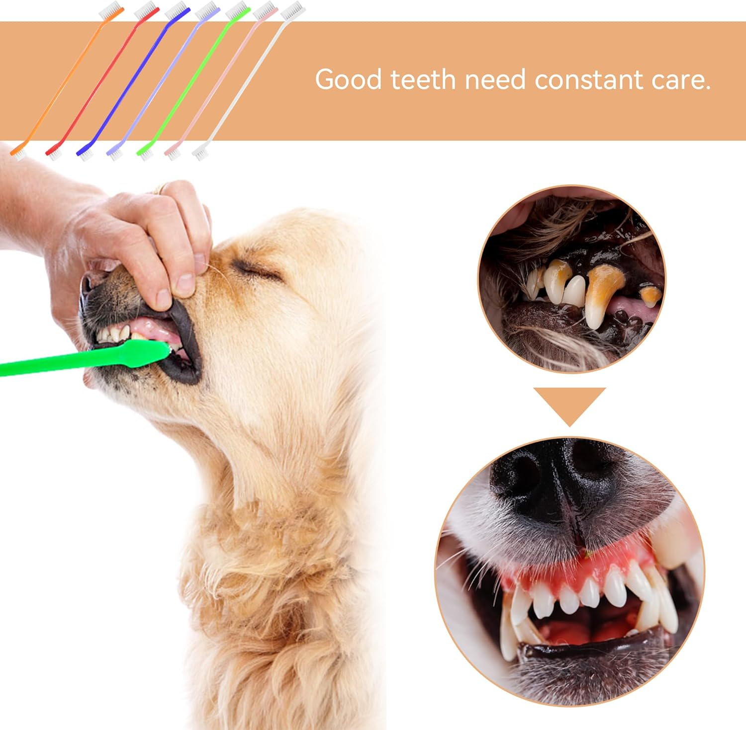 70 Pieces Dog Tooth Brush Pet Toothbrush, Dual Headed Dog Cat Tooth Brushes, Multicolored Soft Grooming Pet Toothbrush for Small and Large Pet Teeth Cleaning Dental Oral Care image number 5