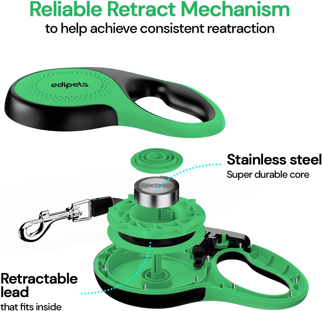 Edipets, Retractable Dog Leash, 5 Metres, Includes Bag Dispenser, Flexible Tape for Training and Walking, for Small, Medium and Large Dogs (Green, 5 Metres) image number 4