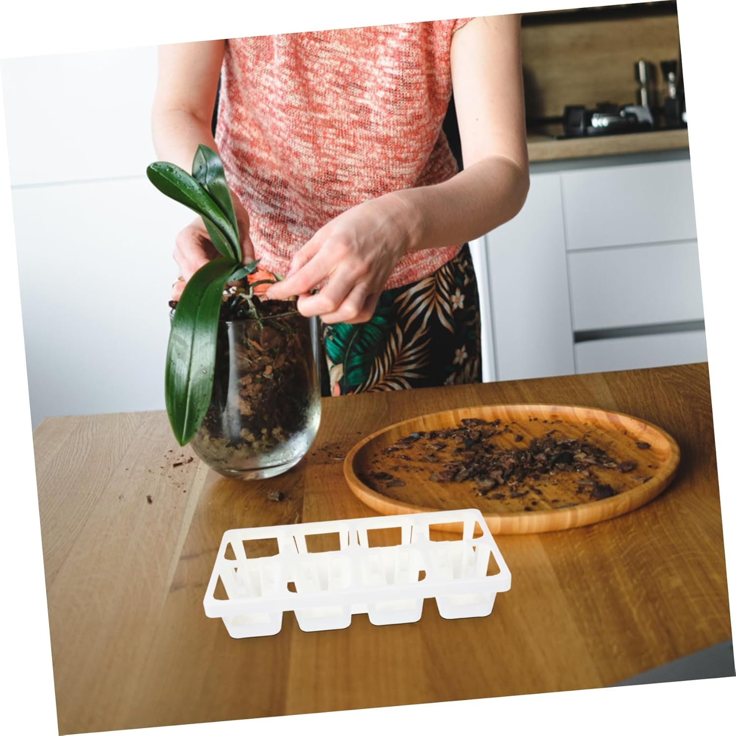 BESPORTBLE 4Pcs Tiny Plastic Planting Tray Rack Succulent Flower Pot Holder Tray Storage for Indoor Outdoor Gardening image number 4