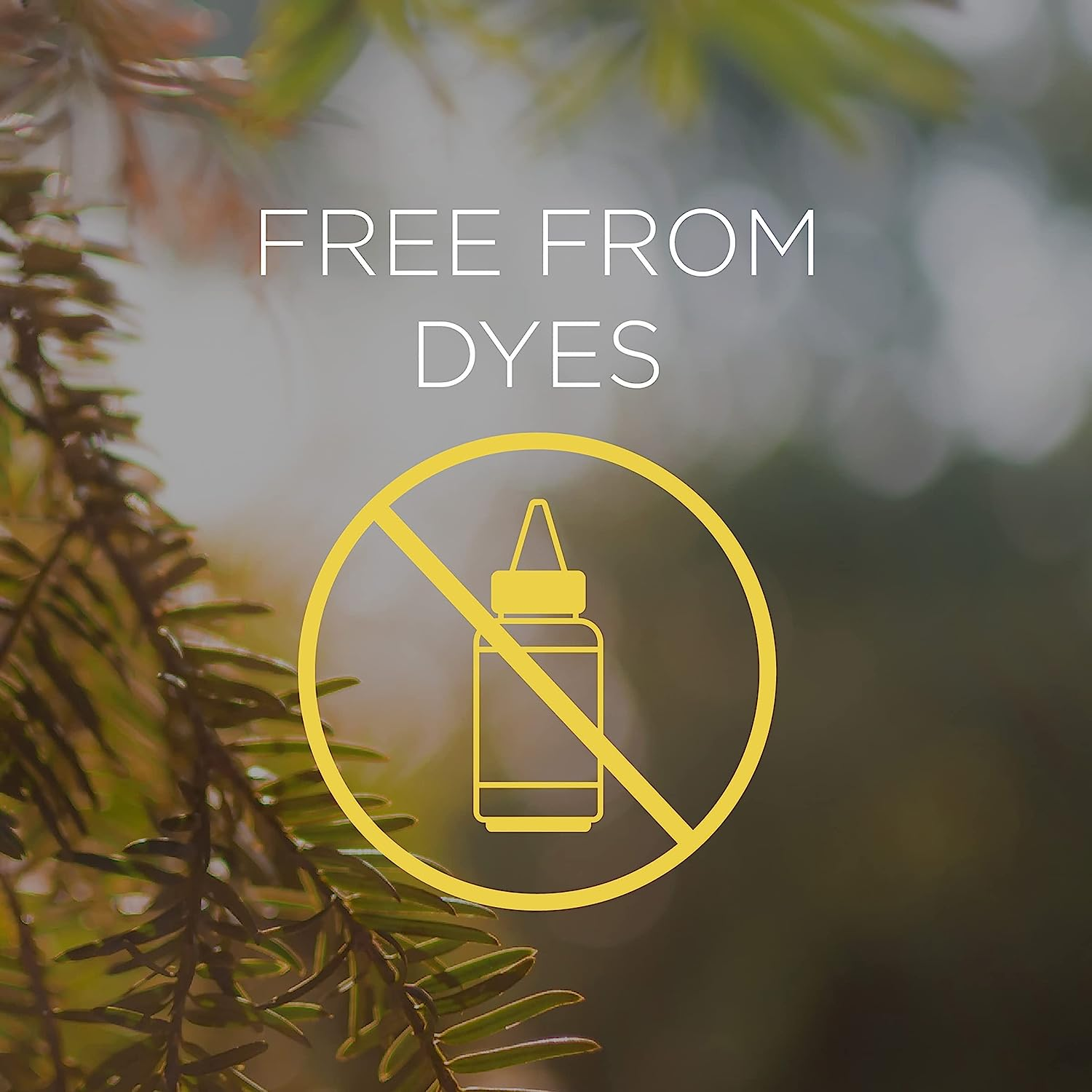 Botanica Liquid Electric Diffuser, Vanilla & Himalayan Magnolia, Device + Refill, 19Ml image number 5