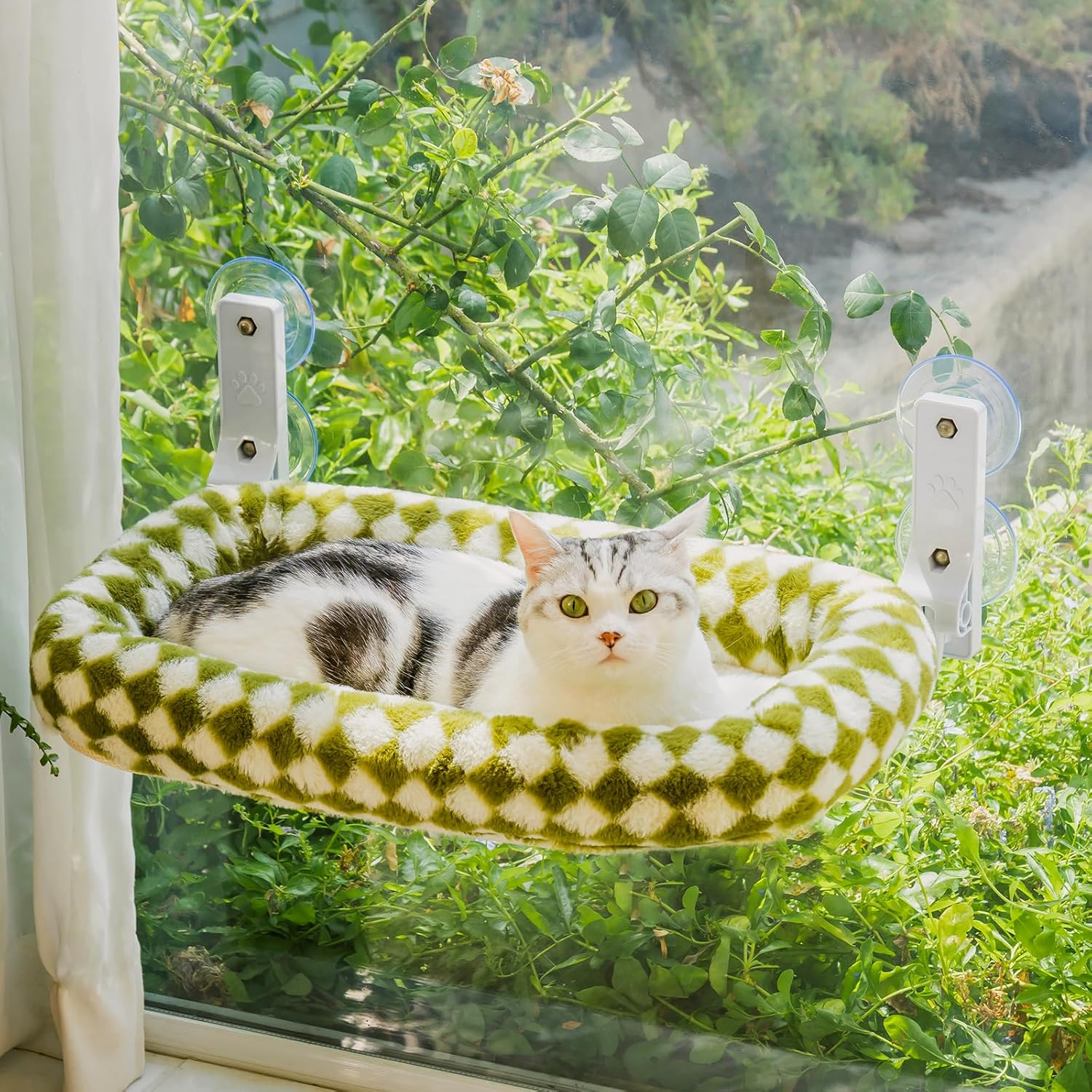 EDAGNY Stylish Cat Hammock Window Foldable - Plush Cat Window Lounger with Removable Thick Cover, Sturdy Steel Frame up to 18 Kg, Green M image number 6