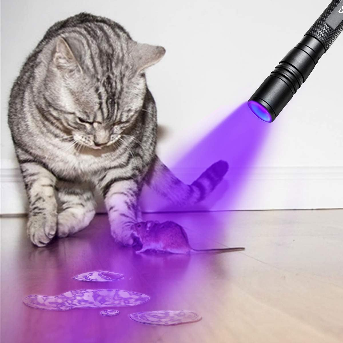 Geekhigh 395Nm UV Torch, Zoomable Pen Black Light Torch with 2 X AAA Batteries, Ultraviolet Torch, Pet Urine Detector for Cat, Dog, Stains, Bed Bug, Scorpion, Toilet image number 3