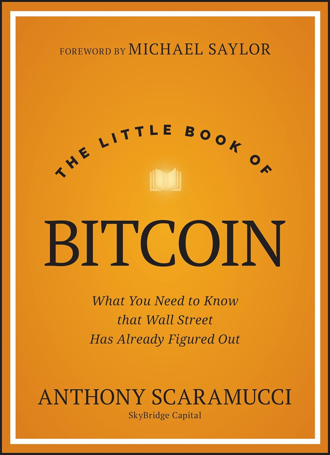 The Little Book of Bitcoin: What You Need to Know That Wall Street Has Already Figured Out image number 1