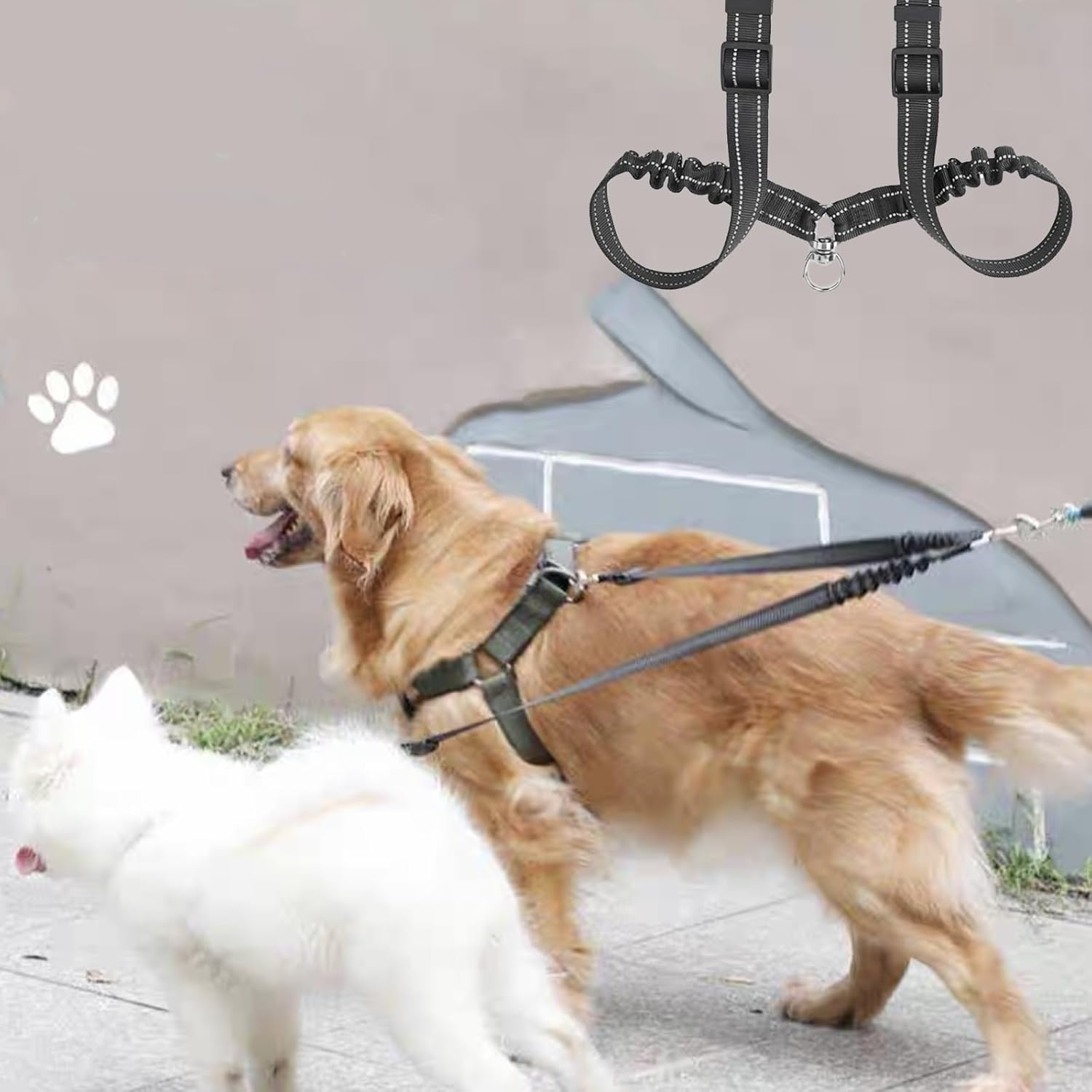 Double Dog Lead for Walking 2 Dogs No Tangle 360&deg; Swivel Reflective Dual Leash with Double Clip for Dogs image number 1
